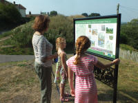 wareham saxon walls project
